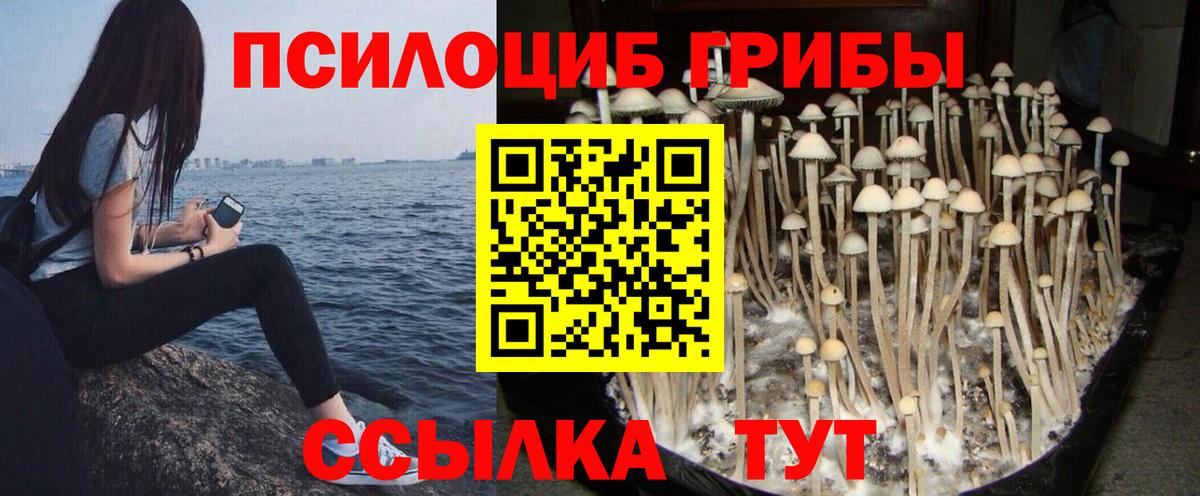 Галлюциногенные грибы Cubensis  Вход с VPN  Корсаков 